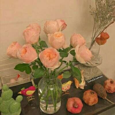 足球北单官方网站